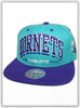 Rückkehr der Charlotte Hornets? - Brooklyn Footwear x Fashion