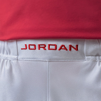 Jordan Brooklyn Cat Scratch Short HV0560-100-
